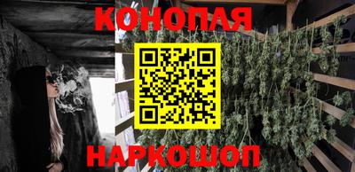 ECSTASY Кунгур