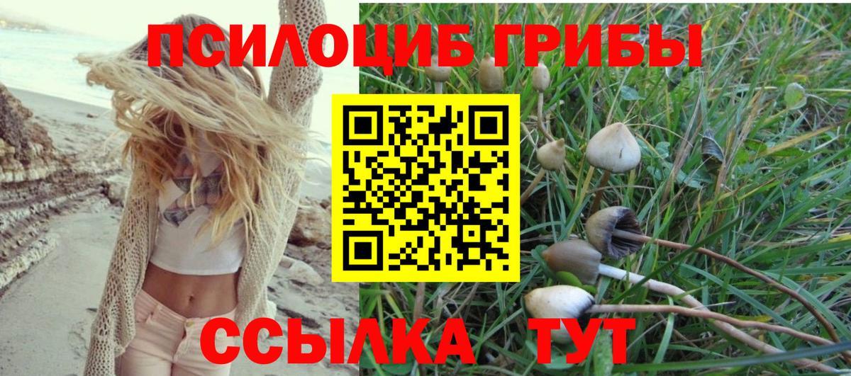 Каспийск  Галлюциногенные грибы MAGIC MUSHROOMS  Вход с VPN  Галлюциногенные грибы Cubensis 